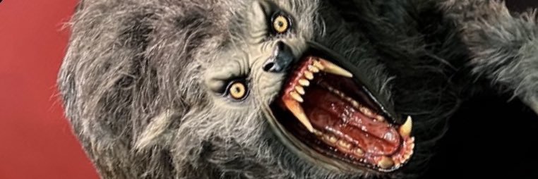 MRyanRicke's profile banner image