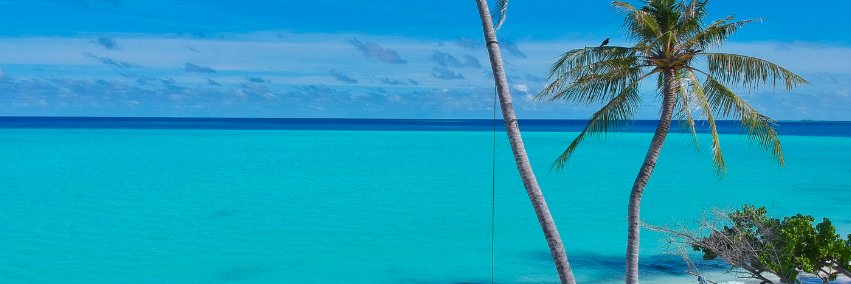 bebalyltd's profile banner image