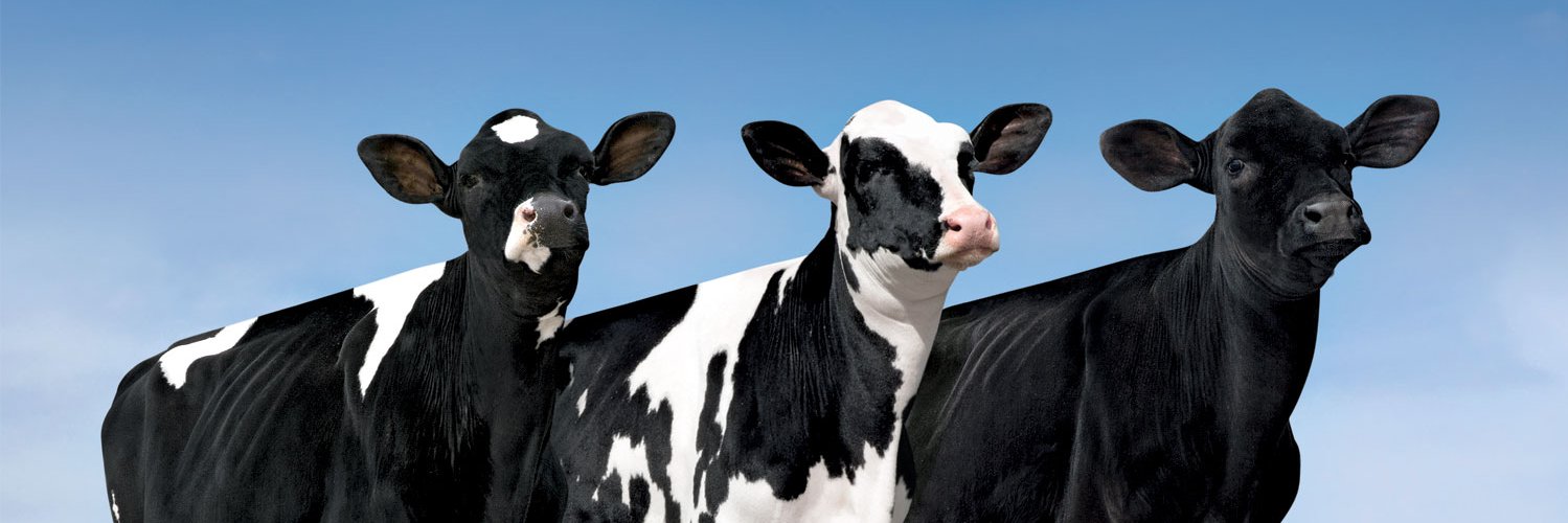 St. Jacobs ABC banner