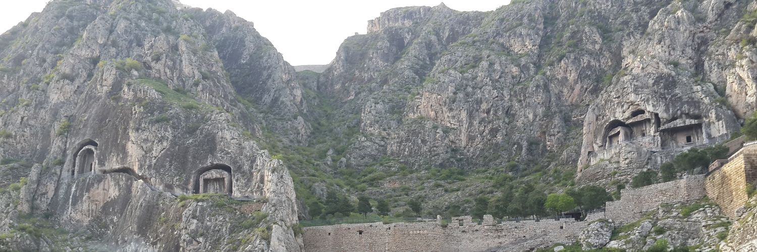 buzyeli's profile banner image