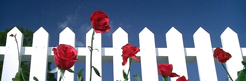 gingysmallz's profile banner image