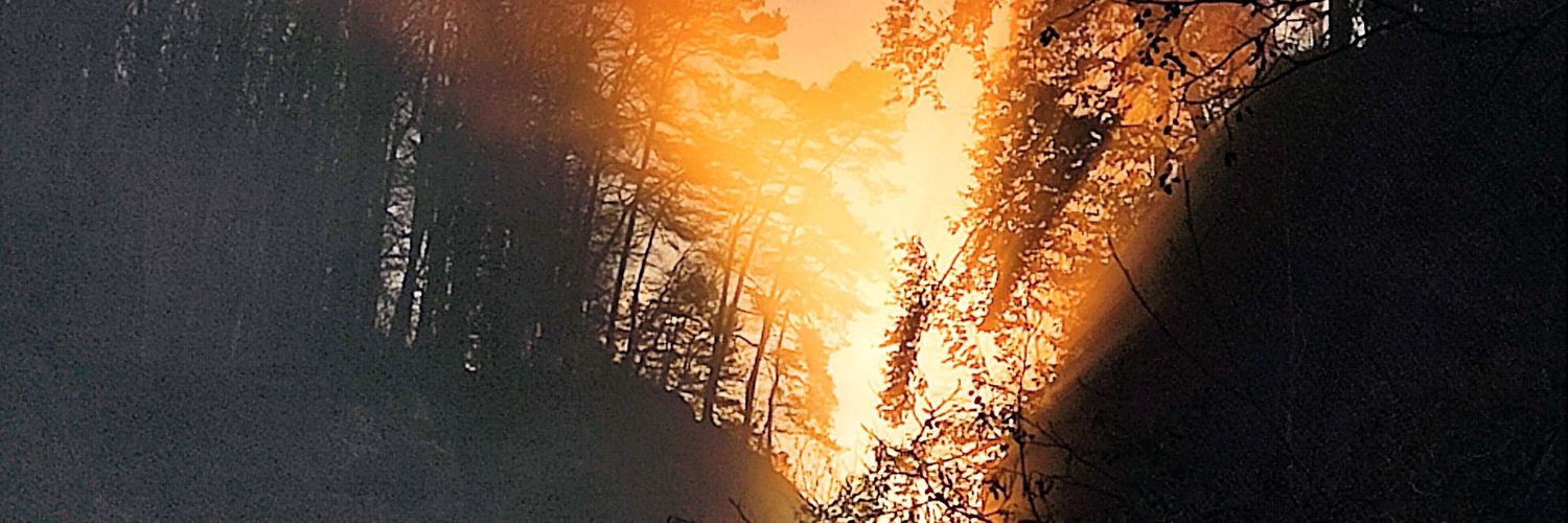BalikMichal's profile banner image