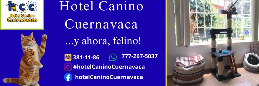 HCaninoCuerna's profile banner image