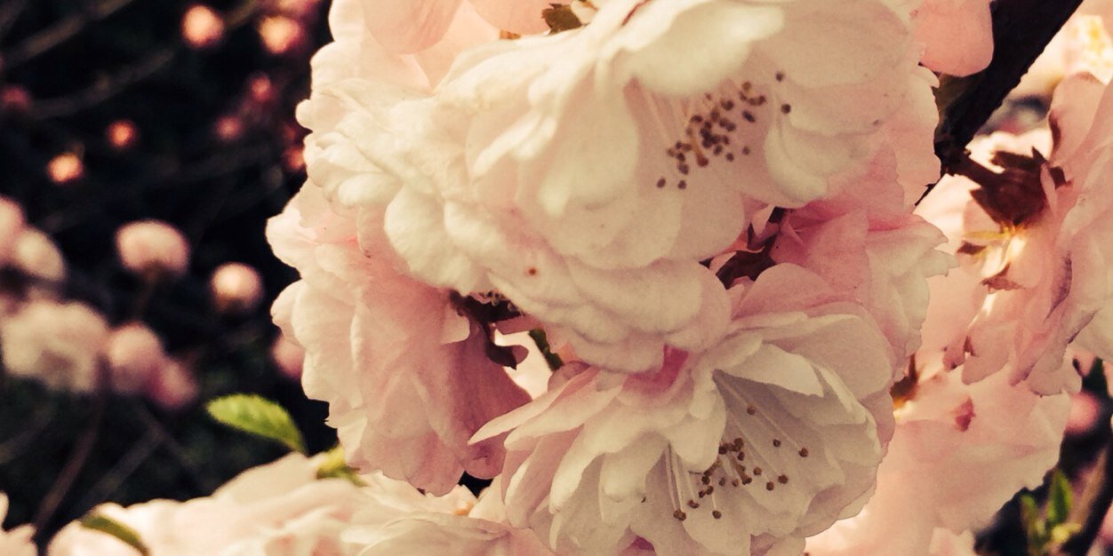VBarkhouse's profile banner image