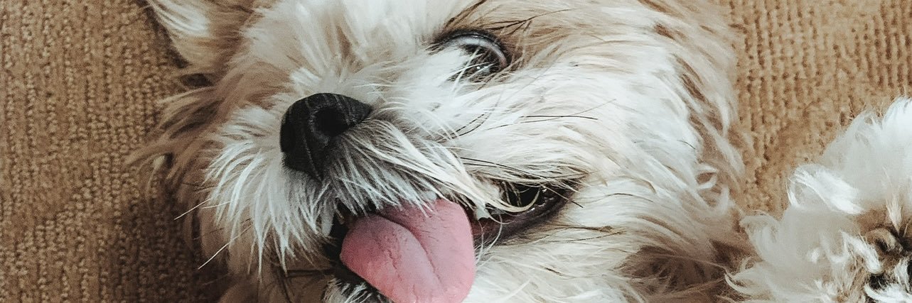 CheaEmily's profile banner image