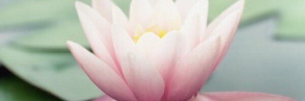 JanetteSheerman Profile Banner