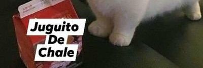lupzz_'s profile banner image