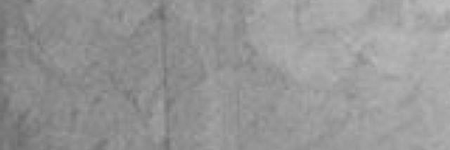 hollandiester's profile banner image