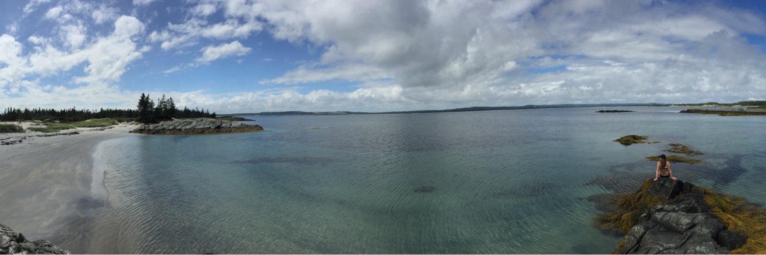 Mitch Gregory banner