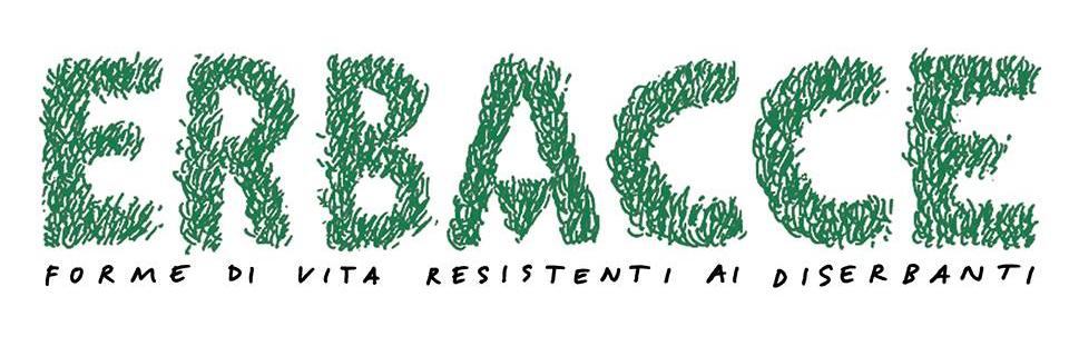 ErbacceMag's profile banner image