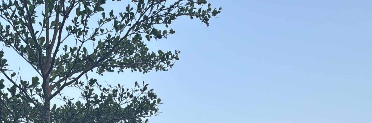 roze208's profile banner image