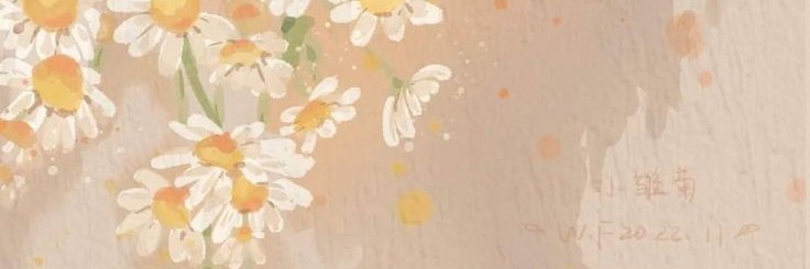 apricot🧁. banner