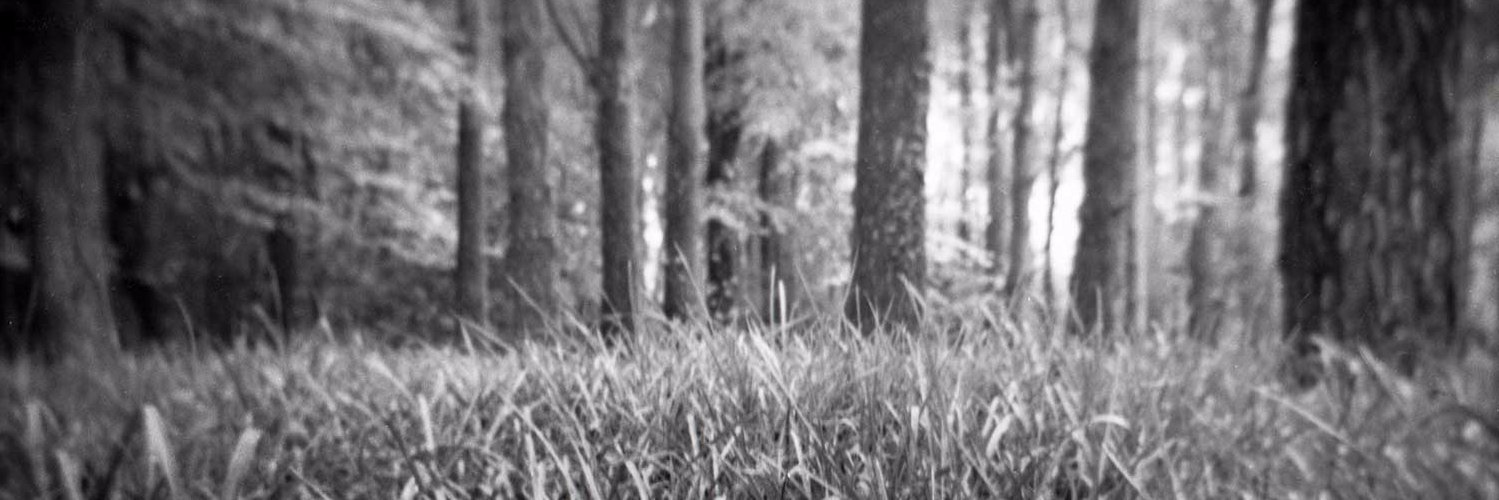 sepd123's profile banner image