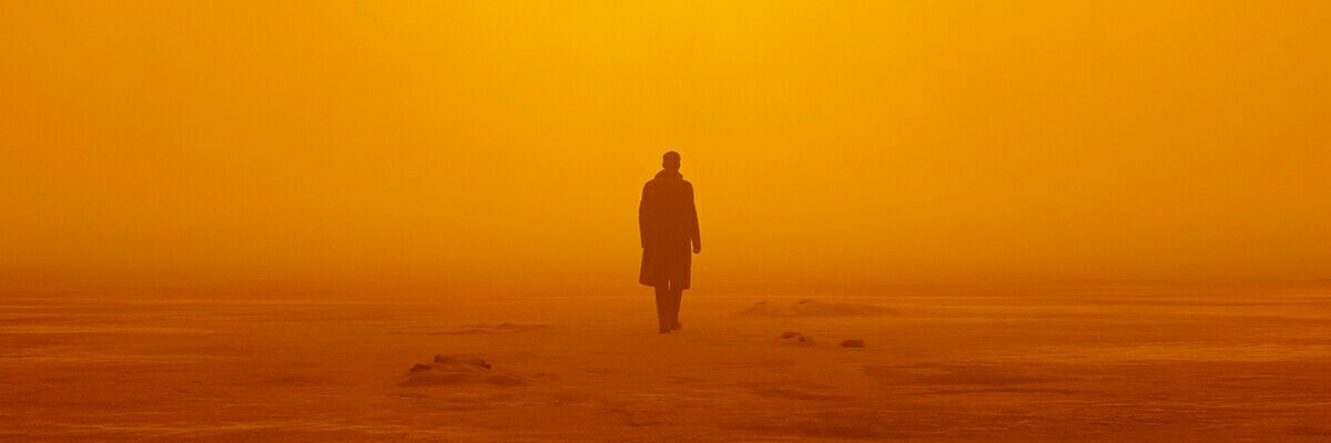 BostonRabbit🇬🇧🇪🇺🇺🇦 banner