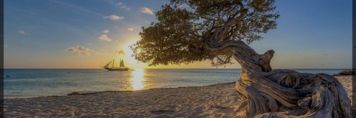 @aruba212 banner