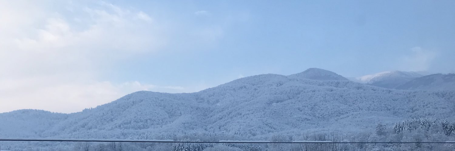 Anthony Budyonov banner