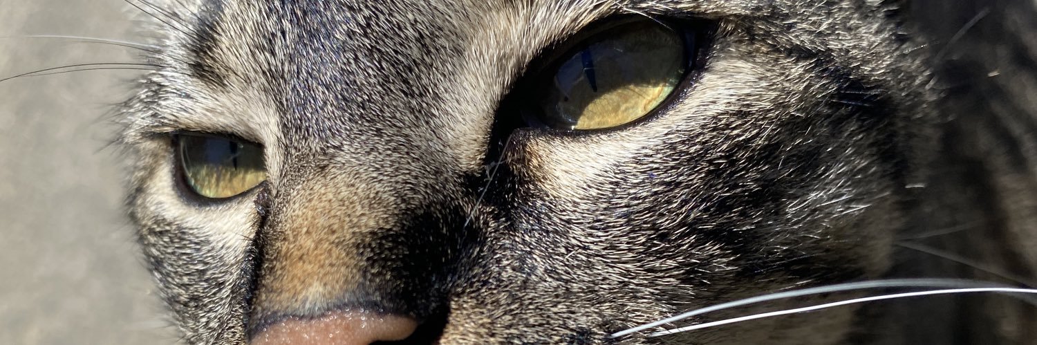 httpnhev's profile banner image