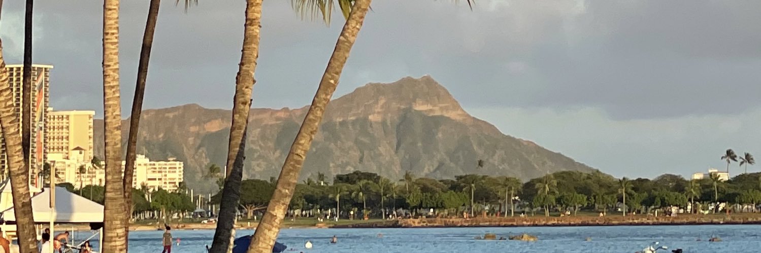 Adelfa Castillo banner