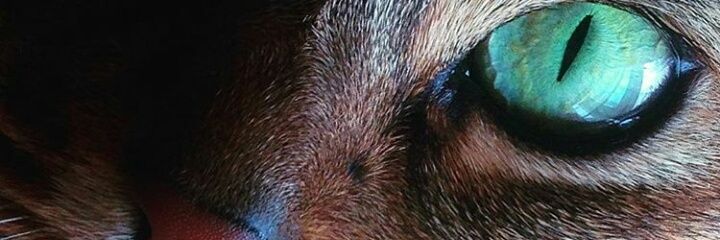 Clara99_'s profile banner image