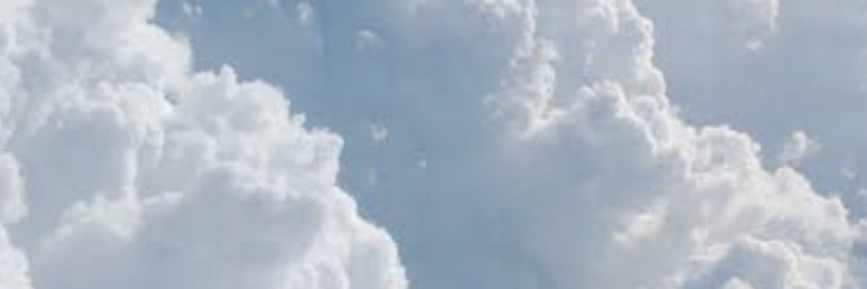 orianne_x's profile banner image