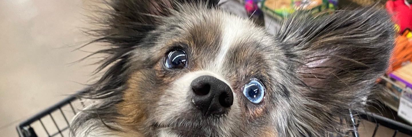 Morgantaymaley's profile banner image