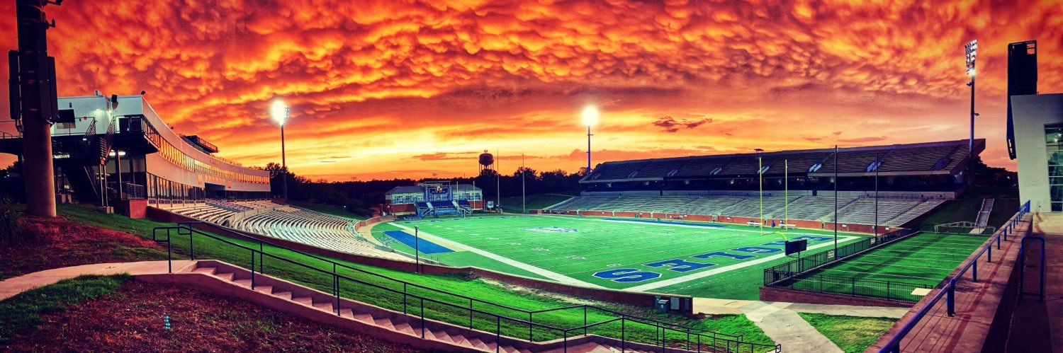 Chandler Avery banner