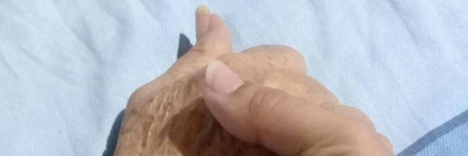 AidaDccr's profile banner image