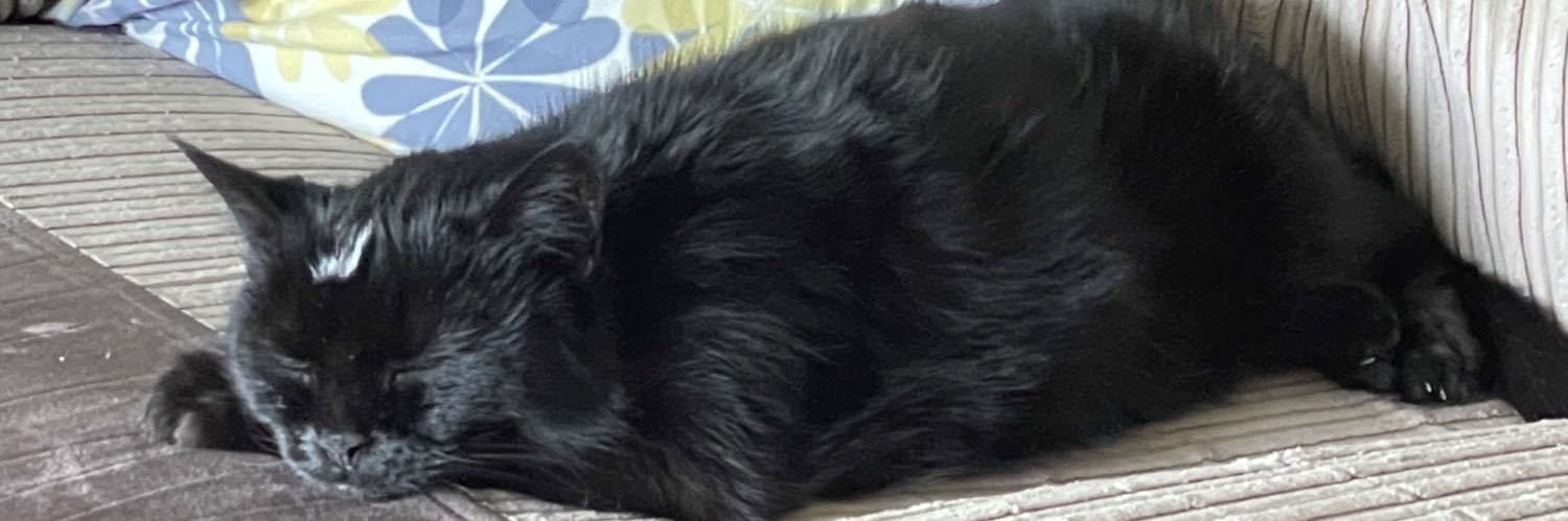 VLittley's profile banner image