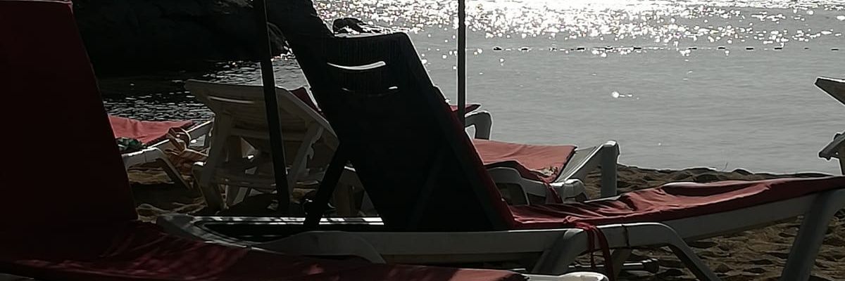 TurkesAsl's profile banner image