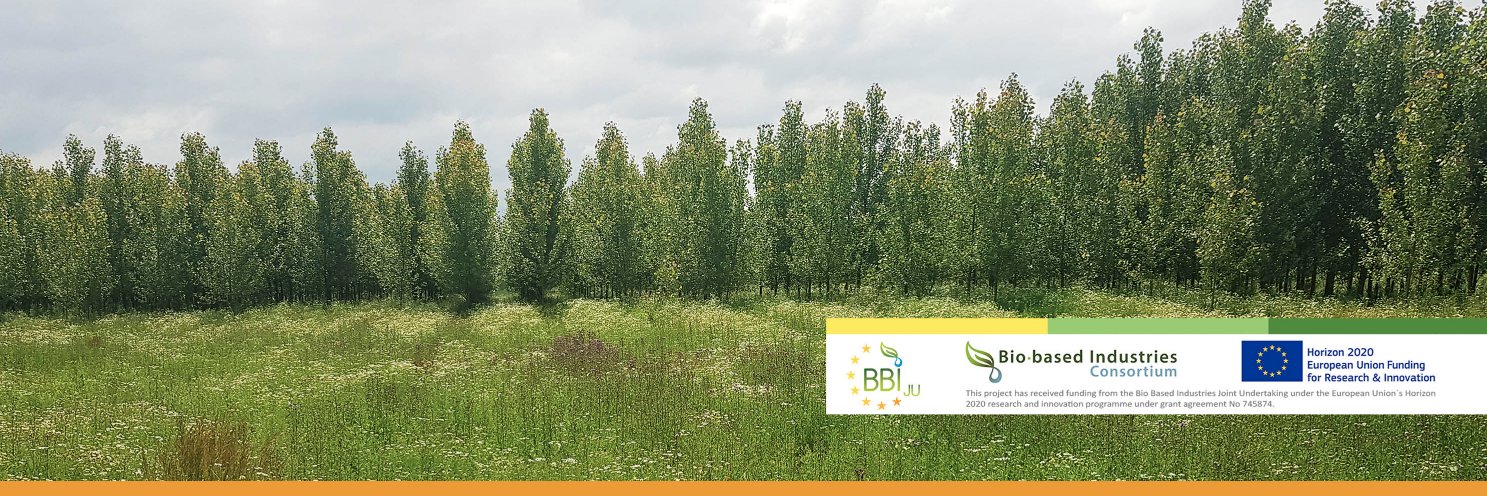 Dendromass4Europe banner