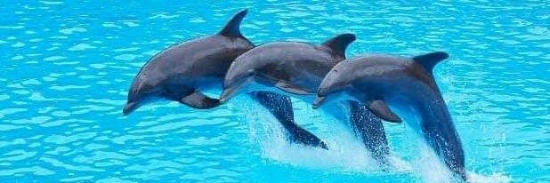 ดารัณ4554 banner