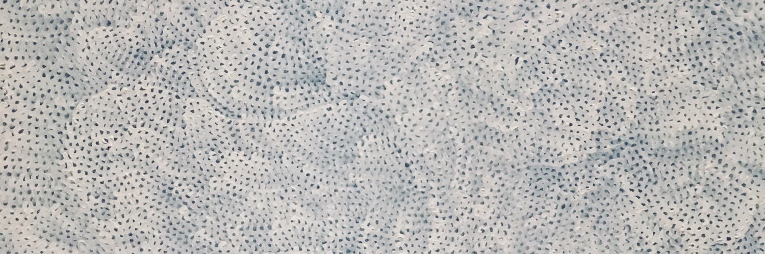 Norah C Sweeney, PT, DPT, NCS banner