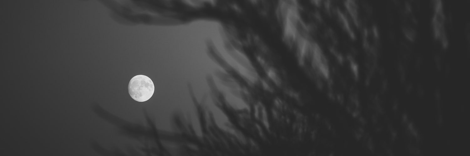 Z banner