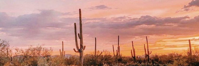 Gallieallie's profile banner image