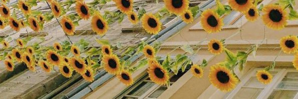 DeandraCardenas's profile banner image