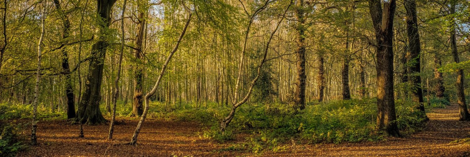 andyjkearney's profile banner image
