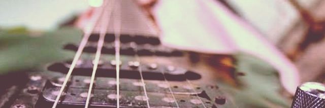 Diego Segovia banner