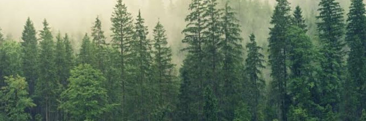 chela_noo's profile banner image