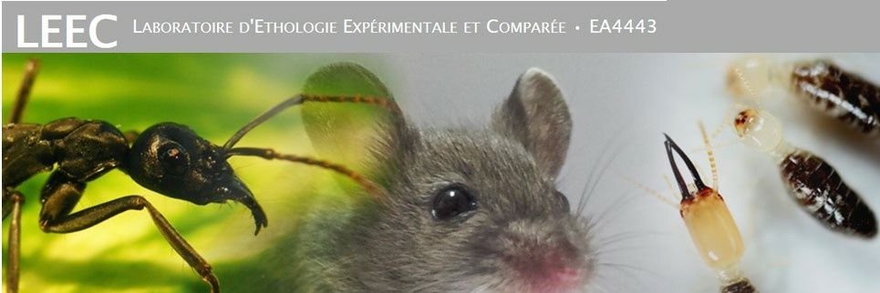 Ethology LEEC Paris banner