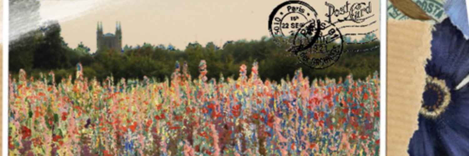 DanielleHalpern's profile banner image