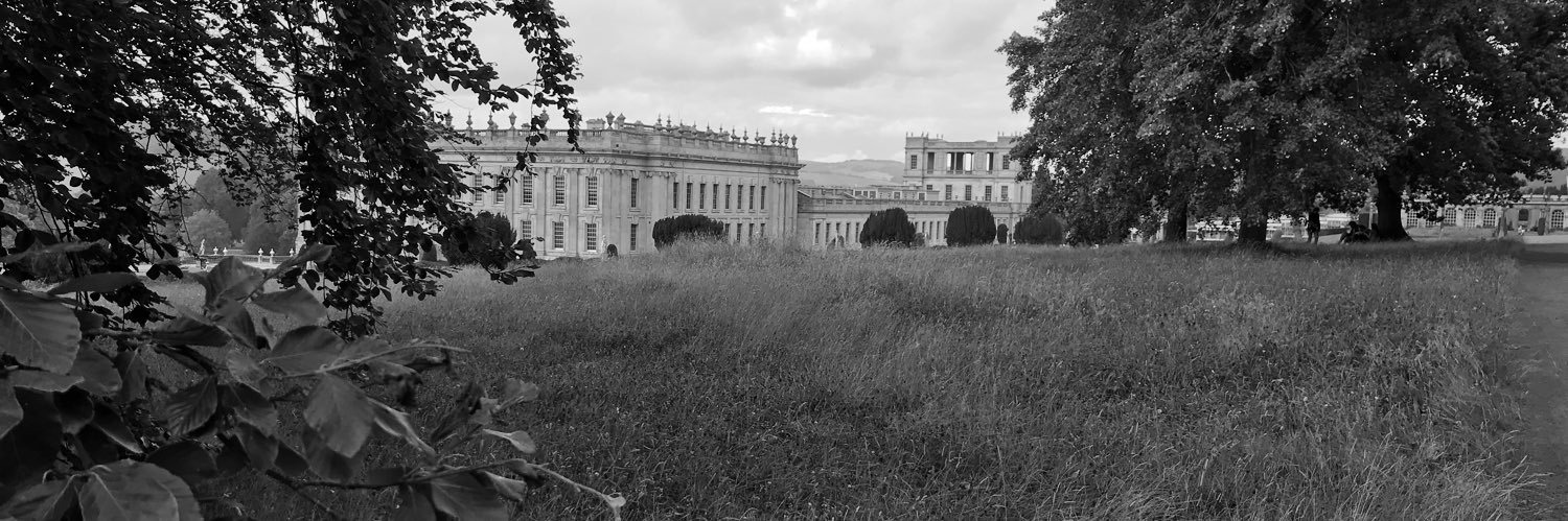 Erica S Tomlin banner