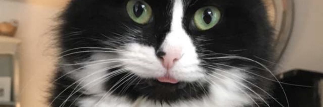 maycullen21's profile banner image