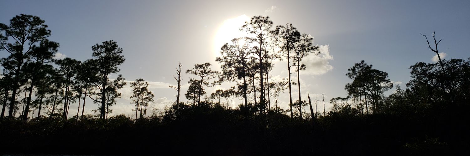 PBG278's profile banner image
