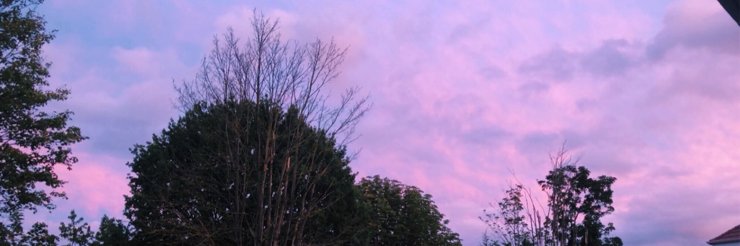 laureenjbrown's profile banner image