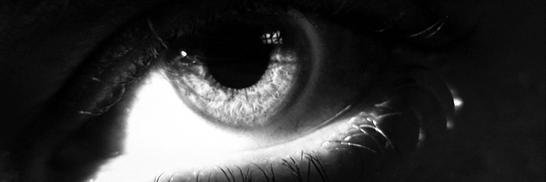 ombocott's profile banner image