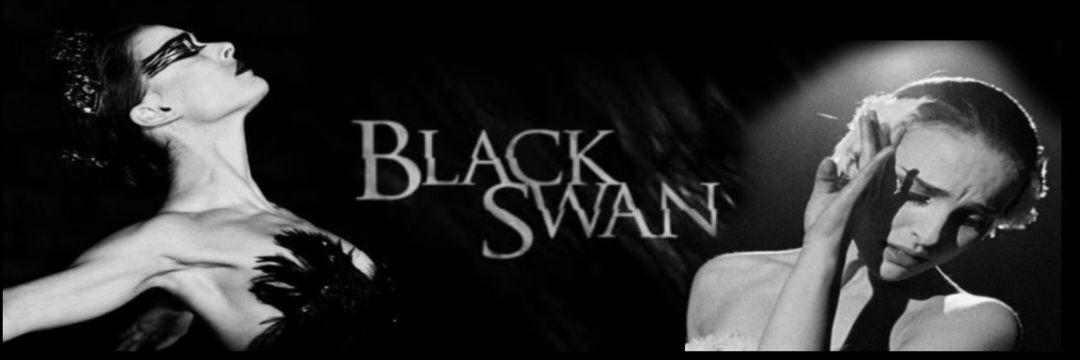 آيــا 🐦‍🔥 banner