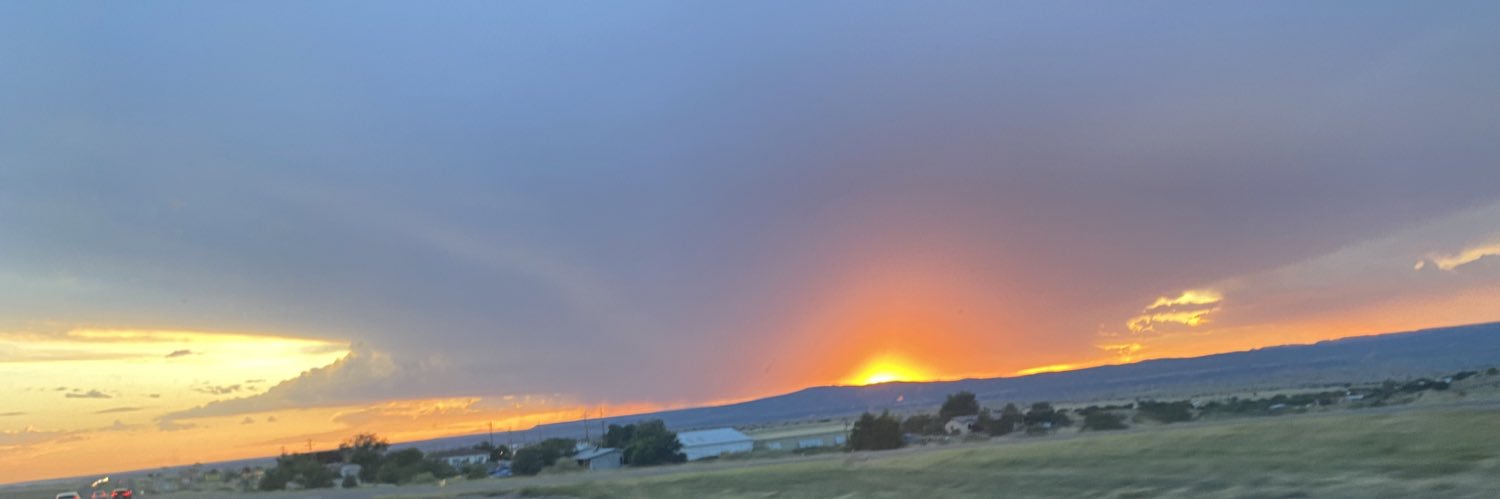 SherryGC1's profile banner image