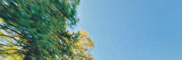 jheison___ Profile Banner
