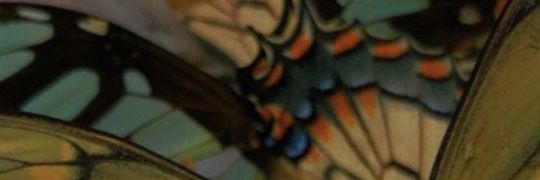 lanademisreyes's profile banner image