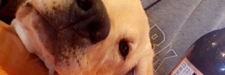 lexi_schadeck's profile banner image
